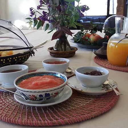 Hotel Fuente Techada - Adults Only