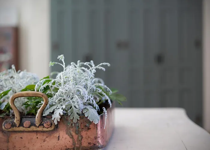 Fuente Techada - Adults Only 호텔 5*